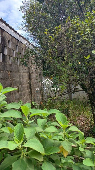 Terreno, 231 m² - Foto 3