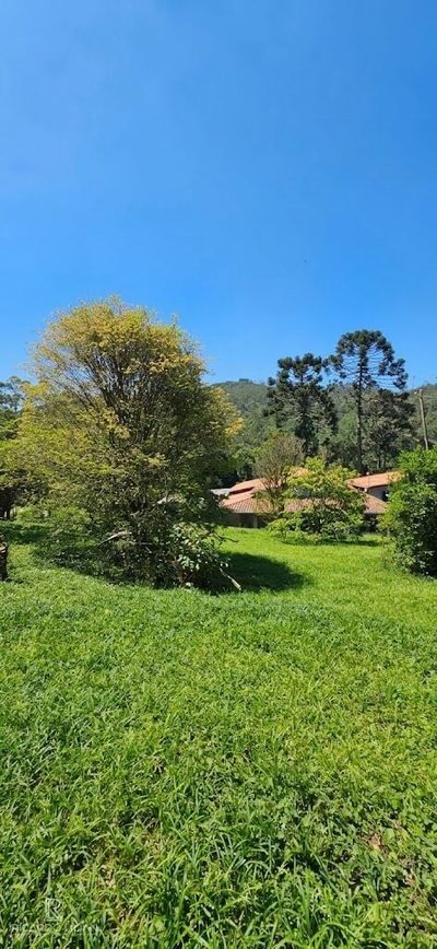 Chácara, 2 quartos, 10000 m² - Foto 5