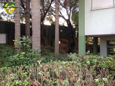 Apartamento, 2 quartos, 49 m² - Foto 5