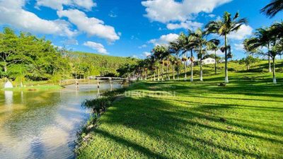 Fazenda, 286 hectares - Foto 1