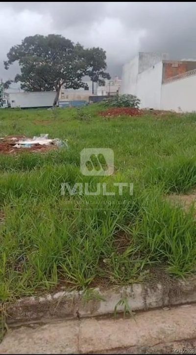 Terreno, 250 m² - Foto 4
