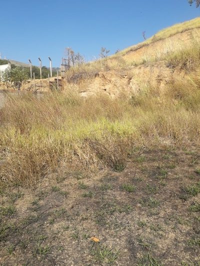 Terreno, 250 m² - Foto 3