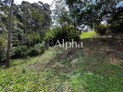 Terreno, 1181 m² - Foto 2