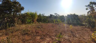 Chácara, 1 quarto - Foto 2