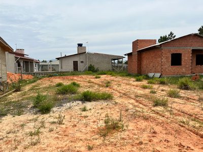 Terreno, 300 hectares - Foto 3