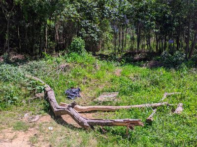 Terreno, 500 m² - Foto 1