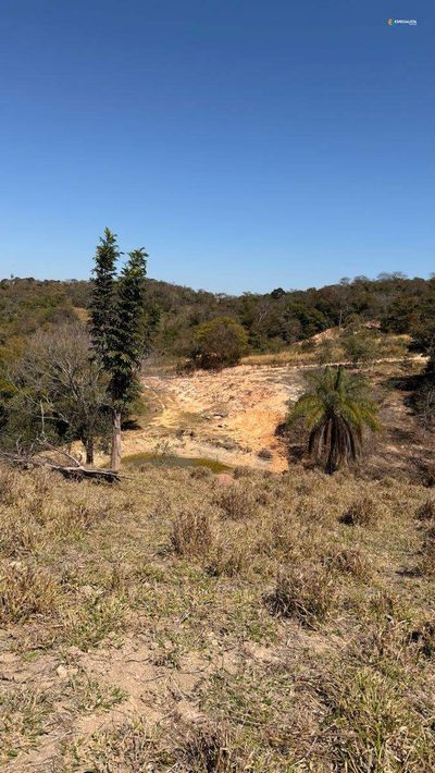 Terreno, 8000 m² - Foto 4