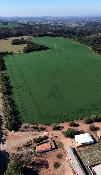 Fazenda, 90 hectares - Foto 1