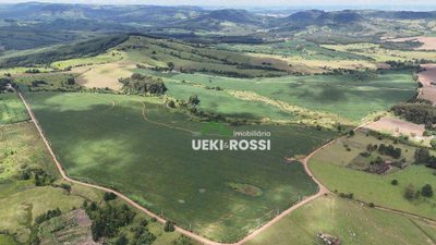 Fazenda, 341 hectares - Foto 3