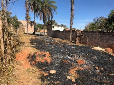 Chácara, 1 quarto, 500 m² - Foto 4