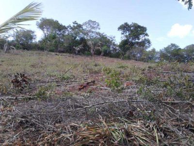 Terreno, 4 hectares - Foto 3