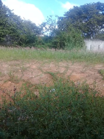 Terreno, 300 m² - Foto 3