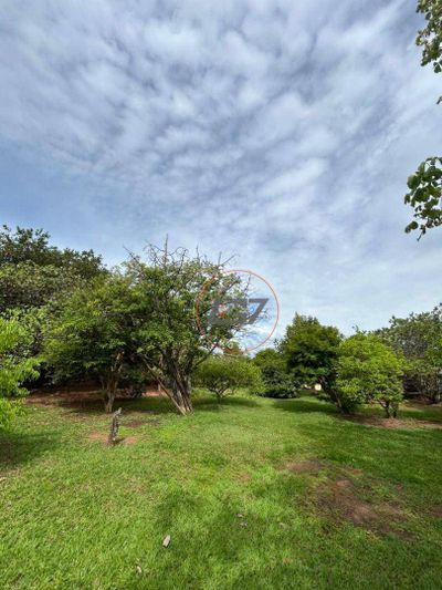 Chácara, 3 quartos, 3000 m² - Foto 2