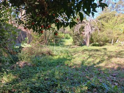 Terreno, 2092 m² - Foto 2