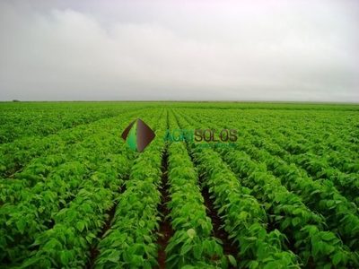 Terreno, 2950 m² - Foto 1