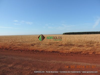 Terreno, 3 hectares - Foto 3