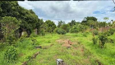 Terreno, 1300 m² - Foto 4