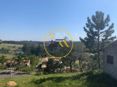 Terreno, 5000 m² - Foto 4