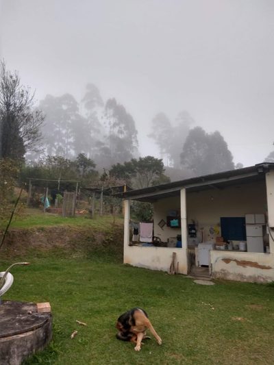 Sítio, 5 quartos, 2 hectares - Foto 4