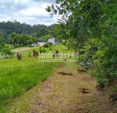 Sítio, 1 quarto, 10 m² - Foto 3