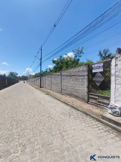 Terreno, 3 hectares - Foto 3