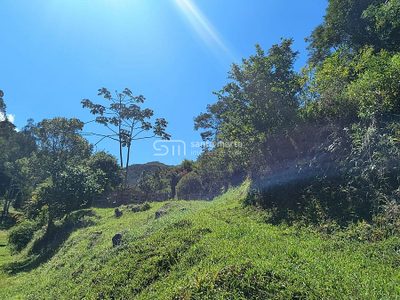 Fazenda, 65 hectares - Foto 5