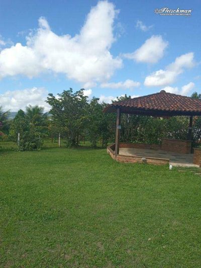 Sítio, 8 hectares - Foto 3
