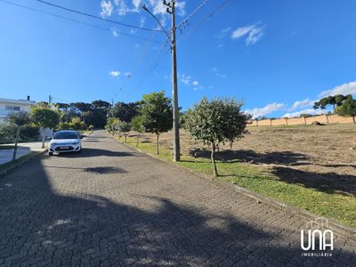 Terreno, 1955 m² - Foto 3
