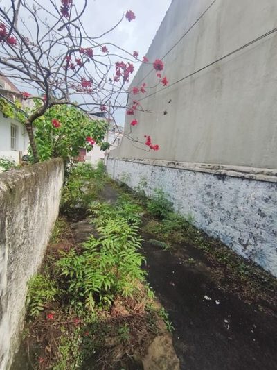 Terreno, 300 m² - Foto 5