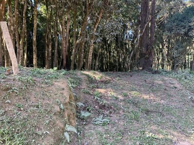 Terreno, 2 hectares - Foto 3