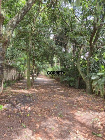Chácara, 5 quartos, 5000 m² - Foto 2