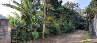 Terreno, 1000 m² - Foto 3