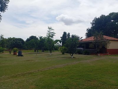 Chácara, 3 quartos, 9 hectares - Foto 4