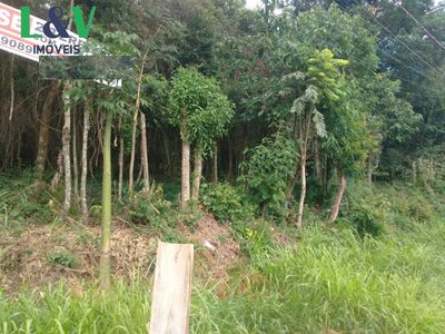 Terreno, 1000 m² - Foto 2