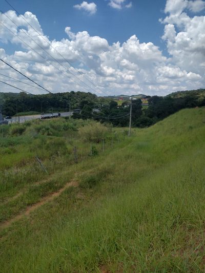 Terreno, 33 hectares - Foto 4