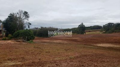 Sítio, 1 quarto, 12 hectares - Foto 3