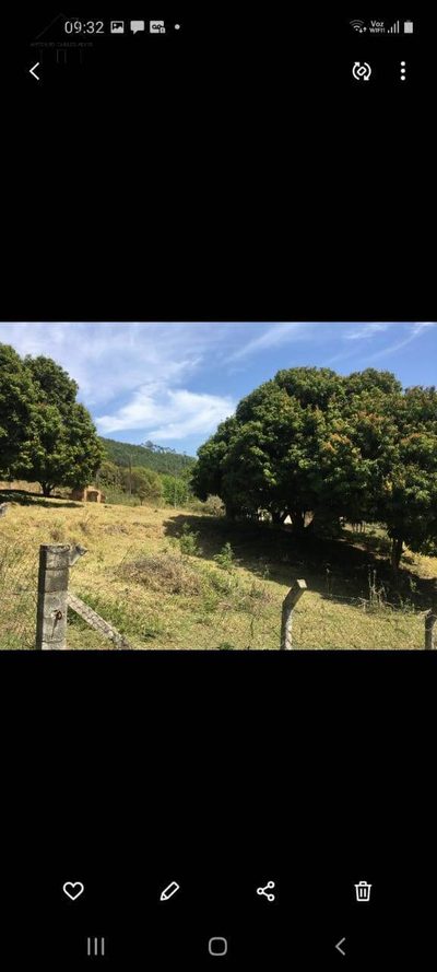 Terreno, 4709 m² - Foto 5