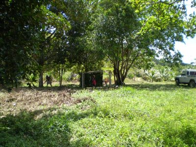 Sítio, 2 quartos, 230 hectares - Foto 1