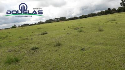 Terreno, 2 hectares - Foto 3