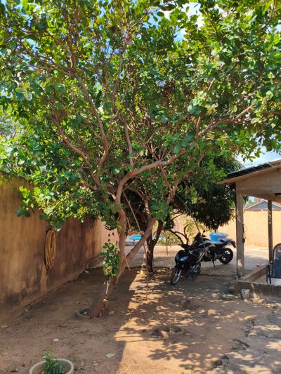 Casa, 2 quartos, 53 m² - Foto 2