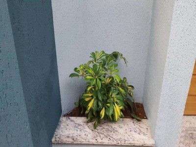 Sobrado, 2 quartos, 57 m² - Foto 3
