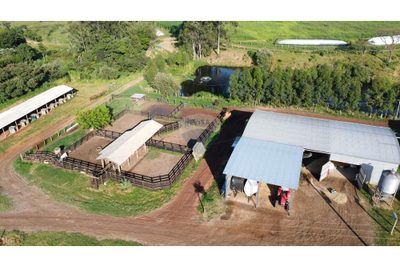 Fazenda, 217 hectares - Foto 2