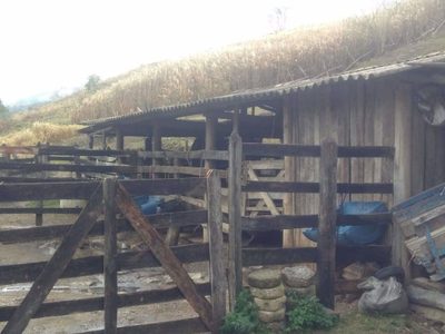 Sítio, 3 quartos, 100 m² - Foto 2