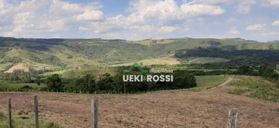 Fazenda, 109 hectares - Foto 4