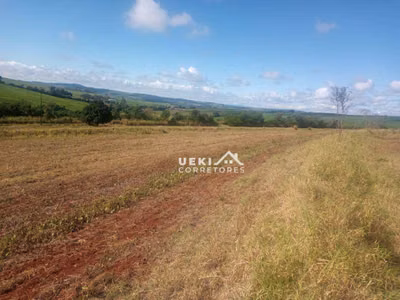 Sítio, 12 hectares - Foto 1