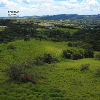 Terreno, 4 hectares - Foto 4
