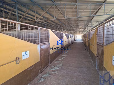 Fazenda, 101 m² - Foto 5
