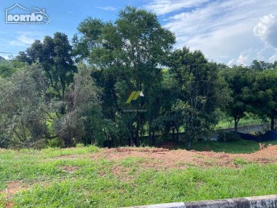 Terreno, 977 m² - Foto 3