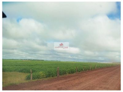 Fazenda, 2400 m² - Foto 4