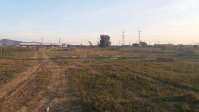 Terreno, 25 hectares - Foto 3